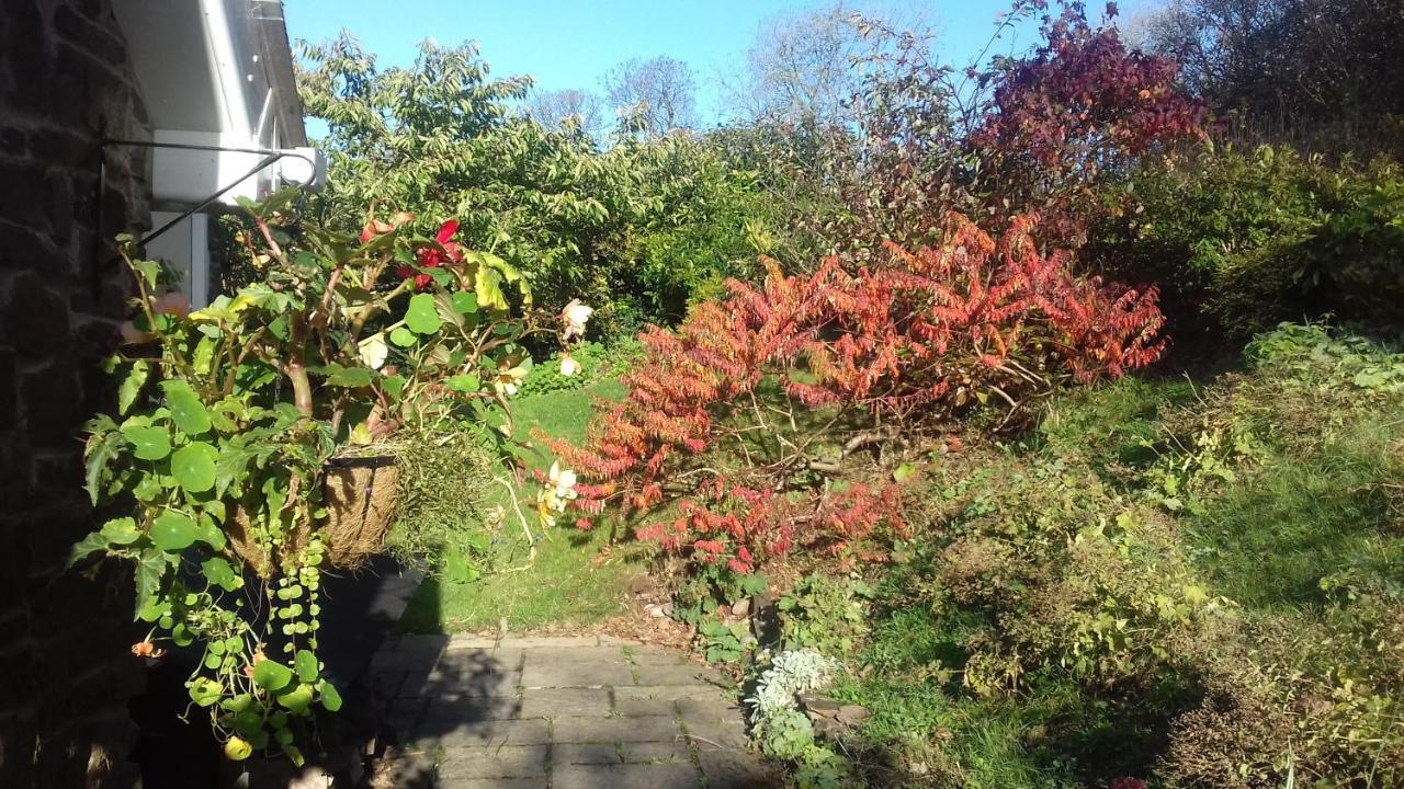 Longlane House B&B, Laugharne Buitenkant foto